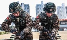 中国女足备战严谨，队员训练纪律严格有序